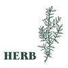 Green Botanical Pack of 10 Incense Sticks