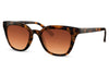 Elodie Wayfarer Sunglasses - Tortoiseshell - Hauslife