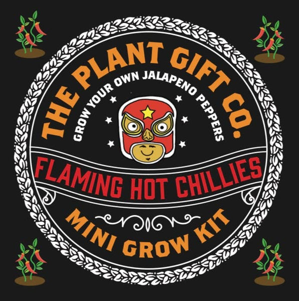 Flaming Hot Chillies. Eco Mini Chilli Grow Kit - Hauslife