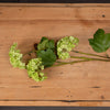 Green Viburnum Spray - Hauslife