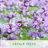 Grow Cat Treats. Cat Lovers Eco Mini - Grow - Kit - Hauslife
