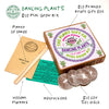 Grow You Own Dancing Plants. - Hauslife
