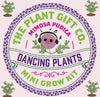 Grow You Own Dancing Plants. - Hauslife