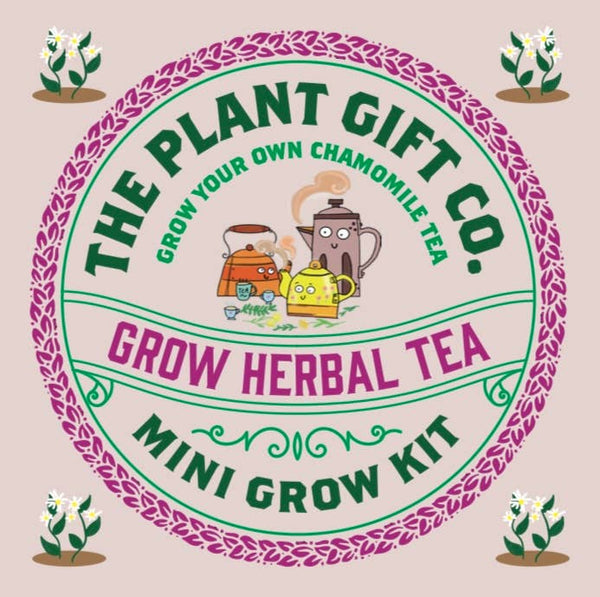 Herbal Tea. Eco Mini Grow - Kit - Hauslife