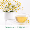 Herbal Tea. Eco Mini Grow - Kit - Hauslife