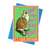 Hip Hip Hooray Cat Card - Hauslife