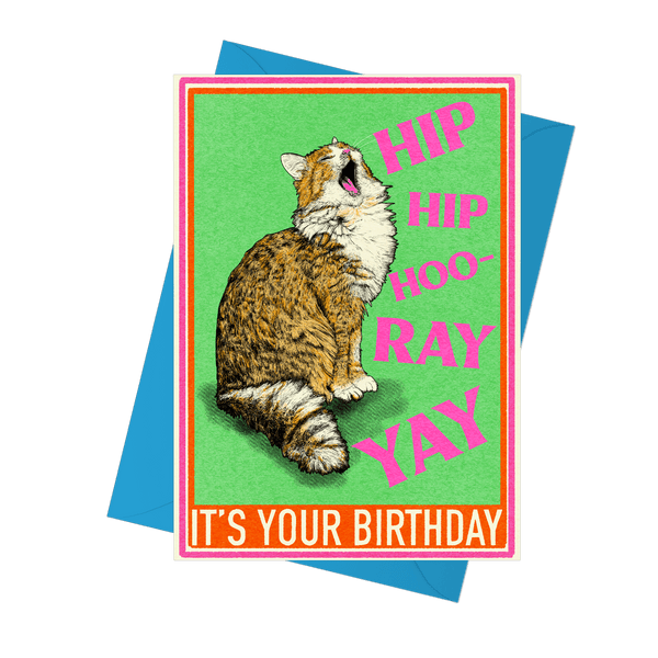 Hip Hip Hooray Cat Card - Hauslife