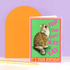 Hip Hip Hooray Cat Card - Hauslife