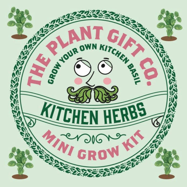 Kitchen Herb. Eco Mini Basil Grow Kit. - Hauslife