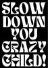 Slow Down You Crazy Child Print - Hauslife