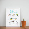 Tits Art Print - A4 - Hauslife