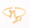 Zodiac Ring - Hauslife