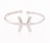 Zodiac Ring - Hauslife